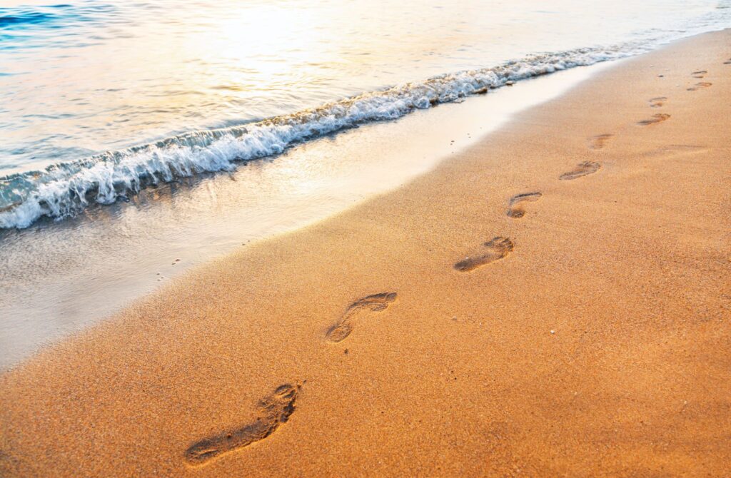 Careers Footprints in wet sand lead towards the gentle waves of a calm sea under a clear sky, symbolizing a journey towards recovery and mental health.