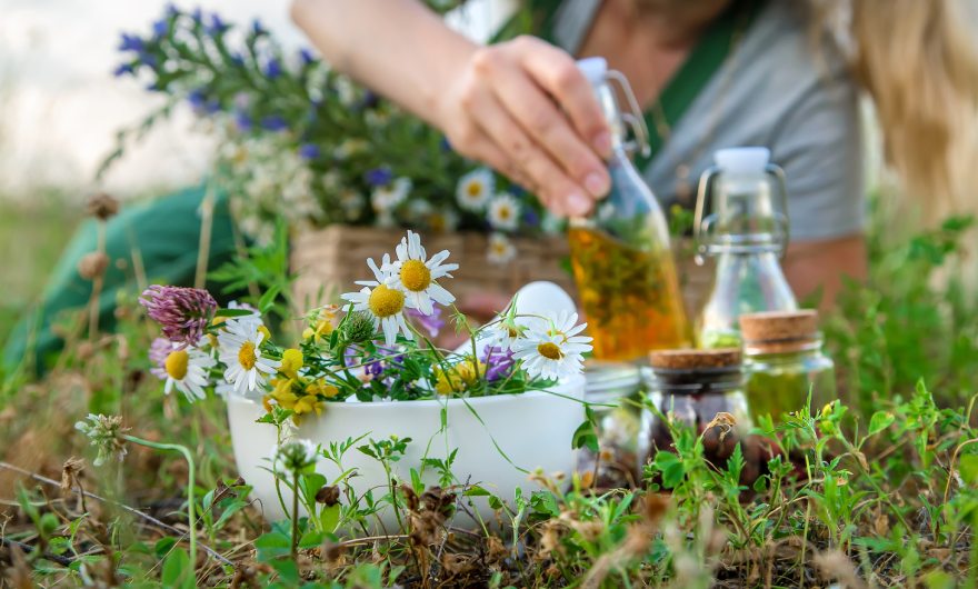 herbal support for recovery