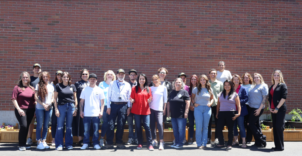 Meet the Team
